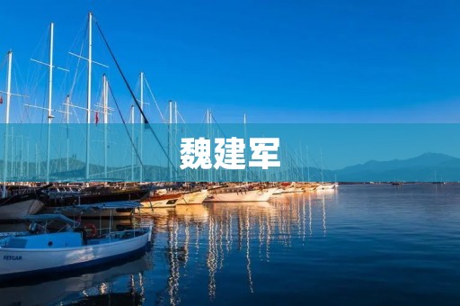 魏建军：长城的守护者与传承者
