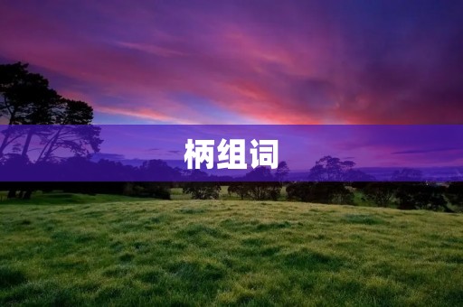 柄组词：细节解析柄组词的意义与应用