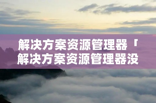 解决方案资源管理器「解决方案资源管理器没有源文件」
