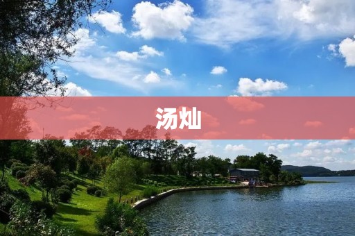汤灿：中国当代音乐界的璀璨之星