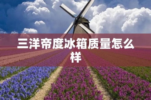 三洋帝度冰箱质量怎么样