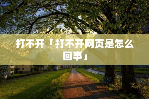 打不开「打不开网页是怎么回事」