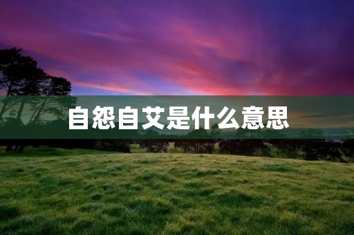 自怨自艾是什么意思