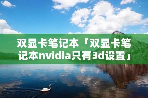 双显卡笔记本「双显卡笔记本nvidia只有3d设置」