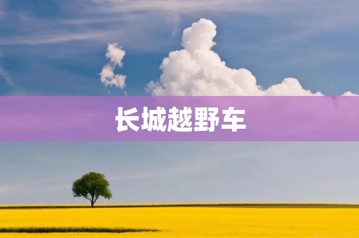 长城越野车:征服荒野的王者 长城越野车:征服荒野的王者
