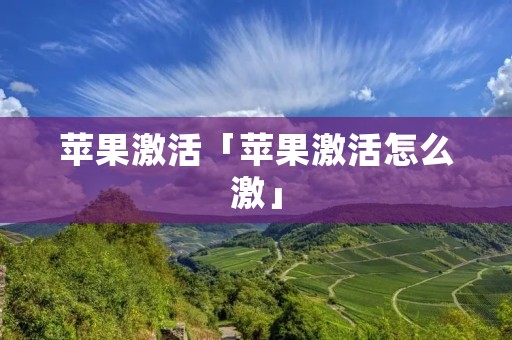 苹果激活「苹果激活怎么激」