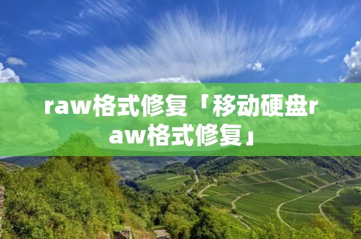 raw格式修复「移动硬盘raw格式修复」