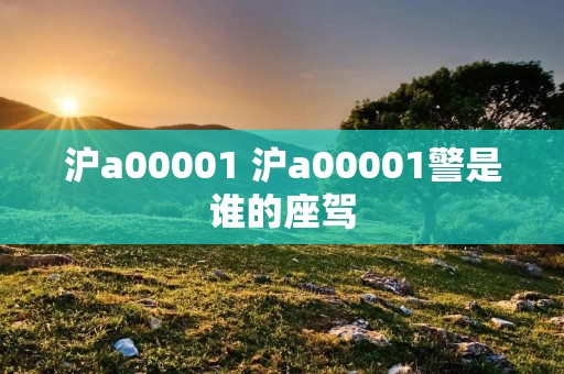 沪a00001 沪a00001警是谁的座驾 沪a00001 沪a00001警是谁的座驾
