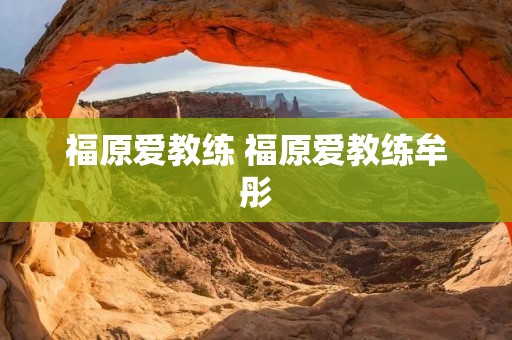 福原爱教练 福原爱教练牟彤 福原爱教练 福原爱教练牟彤