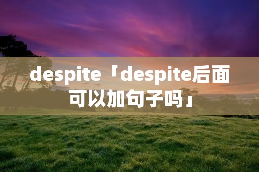despite「despite后面可以加句子吗」