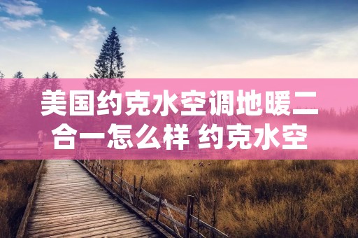 美国约克水空调地暖二合一怎么样 约克水空调地暖二合一报价