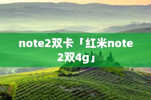 note2双卡「红米note2双4g」