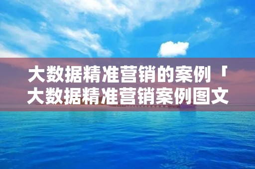 大数据精准营销的案例「大数据精准营销案例图文」