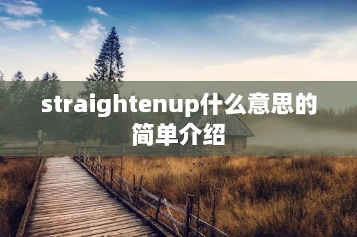 straightenup什么意思的简单介绍