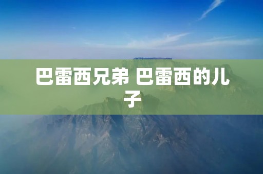 巴雷西兄弟 巴雷西的儿子