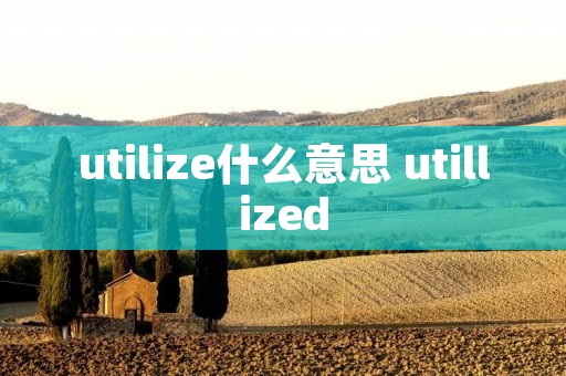 utilize什么意思 utillized utilize什么意思 utillized