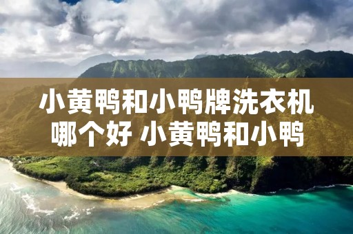 小黄鸭和小鸭牌洗衣机哪个好 小黄鸭和小鸭牌洗衣机哪个好一点 小黄鸭和小鸭牌洗衣机哪个好 小黄鸭和小鸭牌洗衣机哪个好一点
