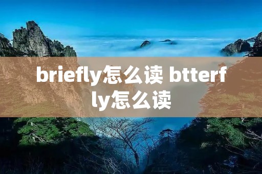 briefly怎么读 btterfly怎么读