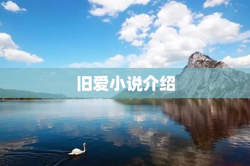 旧爱小说介绍