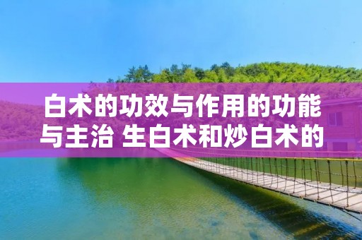 白术的功效与作用的功能与主治 生白术和炒白术的功效与作用的功能与主治