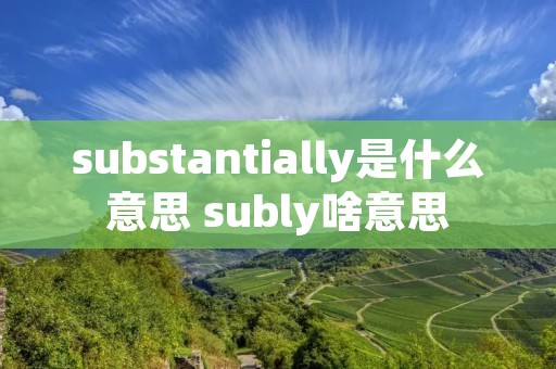 substantially是什么意思 subly啥意思