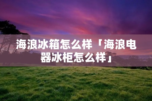 海浪冰箱怎么样「海浪电器冰柜怎么样」 海浪冰箱怎么样「海浪电器冰柜怎么样」