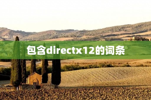 包含directx12的词条