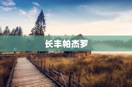 长丰帕杰罗:探索越野之美 长丰帕杰罗:探索越野之美