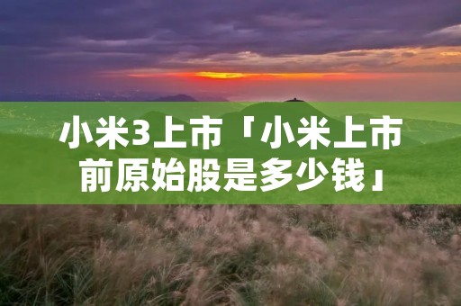 小米3上市「小米上市前原始股是多少钱」