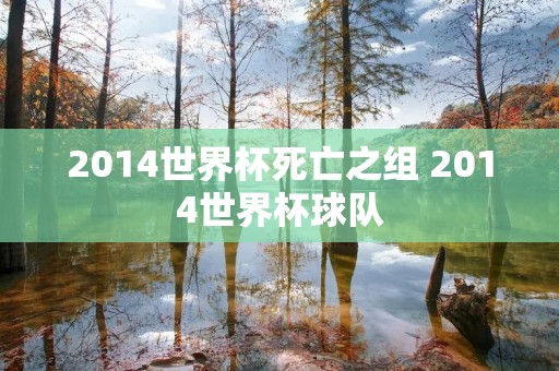 2014世界杯死亡之组 2014世界杯球队