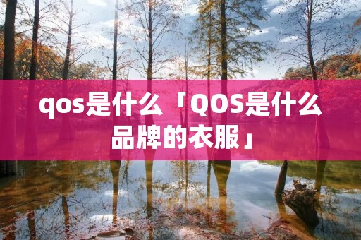 qos是什么「QOS是什么品牌的衣服」 qos是什么「QOS是什么品牌的衣服」