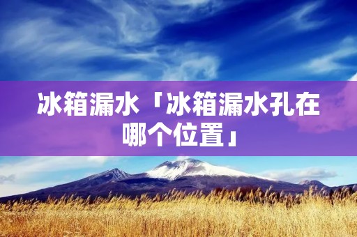 冰箱漏水「冰箱漏水孔在哪个位置」 冰箱漏水「冰箱漏水孔在哪个位置」