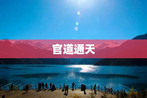 官道通天：探寻权力与荣耀的辉煌之路