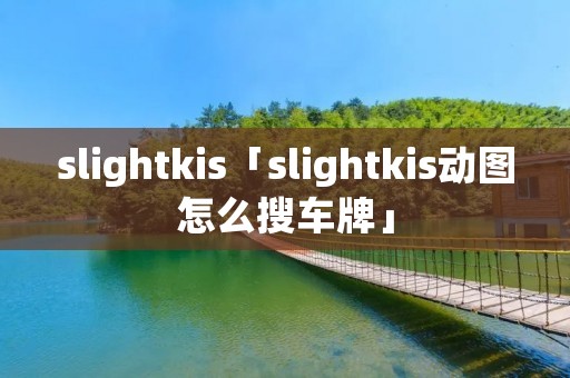 slightkis「slightkis动图怎么搜车牌」