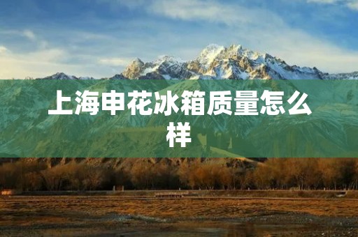 上海申花冰箱质量怎么样