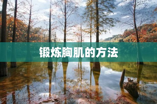 锻炼胸肌的方法：从零开始，打造强健胸肌