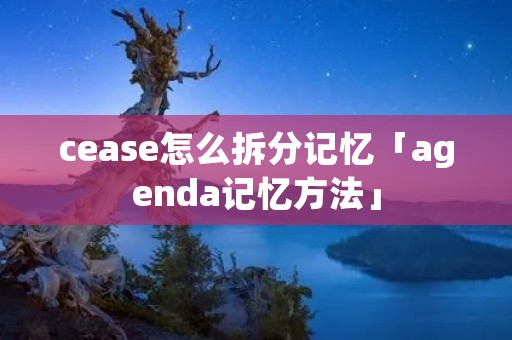 cease怎么拆分记忆「agenda记忆方法」