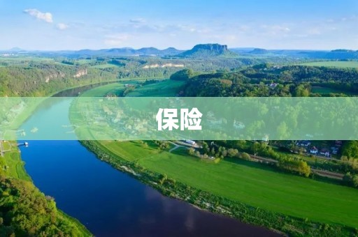 保险:保护你的财富与安全 保险:保护你的财富与安全