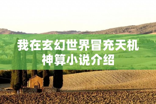 我在玄幻世界冒充天机神算小说介绍