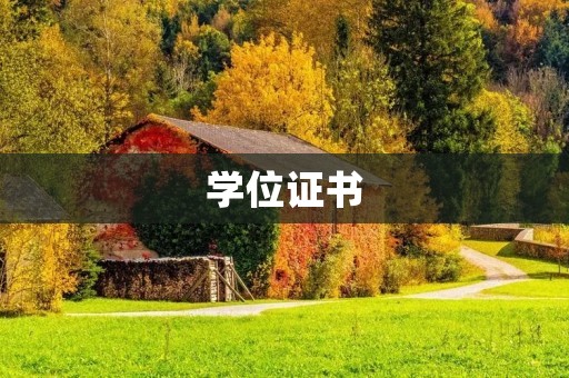 学位证书：开启你的职业之路