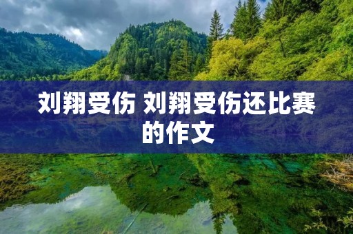 刘翔受伤 刘翔受伤还比赛的作文 刘翔受伤 刘翔受伤还比赛的作文