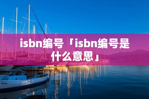 i**n编号「i**n编号是什么意思」