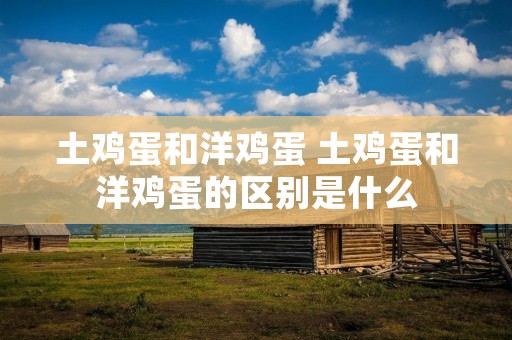 土鸡蛋和洋鸡蛋 土鸡蛋和洋鸡蛋的区别是什么