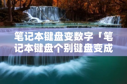笔记本键盘变数字「笔记本键盘个别键盘变成数字」