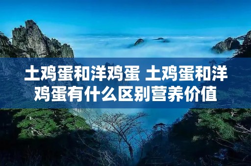 土鸡蛋和洋鸡蛋 土鸡蛋和洋鸡蛋有什么区别营养价值 土鸡蛋和洋鸡蛋 土鸡蛋和洋鸡蛋有什么区别营养价值