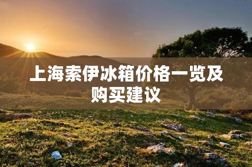 上海索伊冰箱价格一览及购买建议
