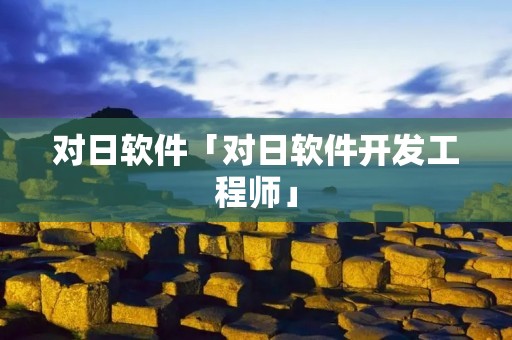 对日软件「对日软件开发工程师」 对日软件「对日软件开发工程师」