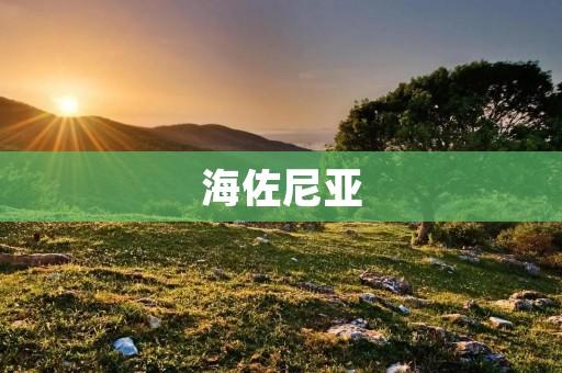 海佐尼亚：探寻神秘之地的奇幻之旅