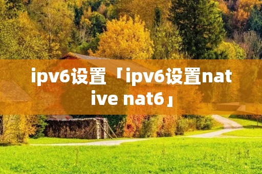 ipv6设置「ipv6设置native nat6」