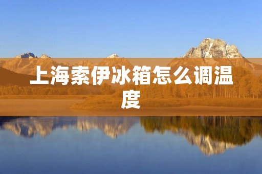 上海索伊冰箱怎么调温度 上海索伊冰箱怎么调温度